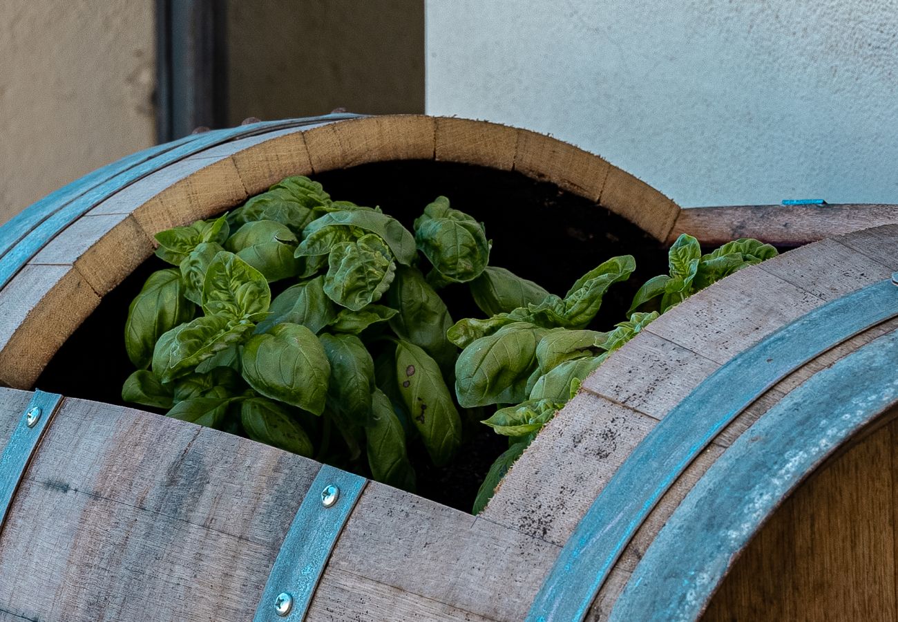 Villa in San Gimignano - Villa Arni