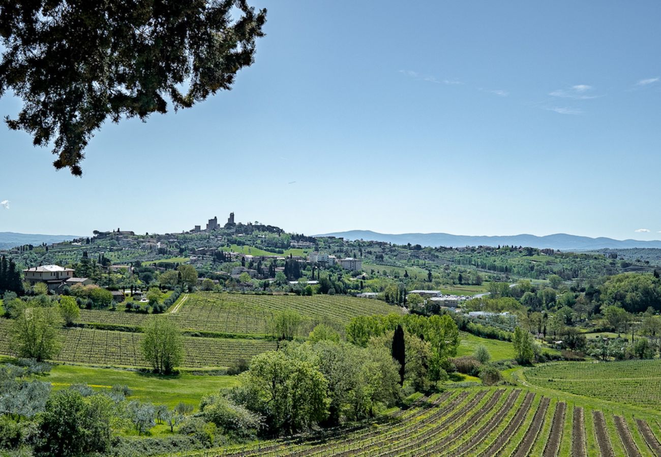 Villa in San Gimignano - Villa Arni