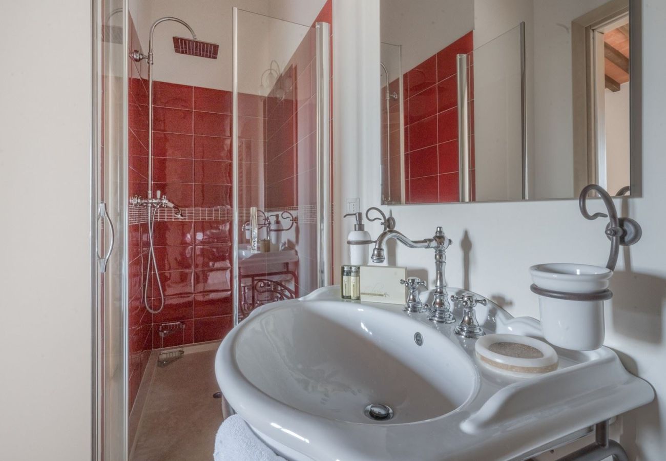 Villa in Palaia - Villa casolare Francia