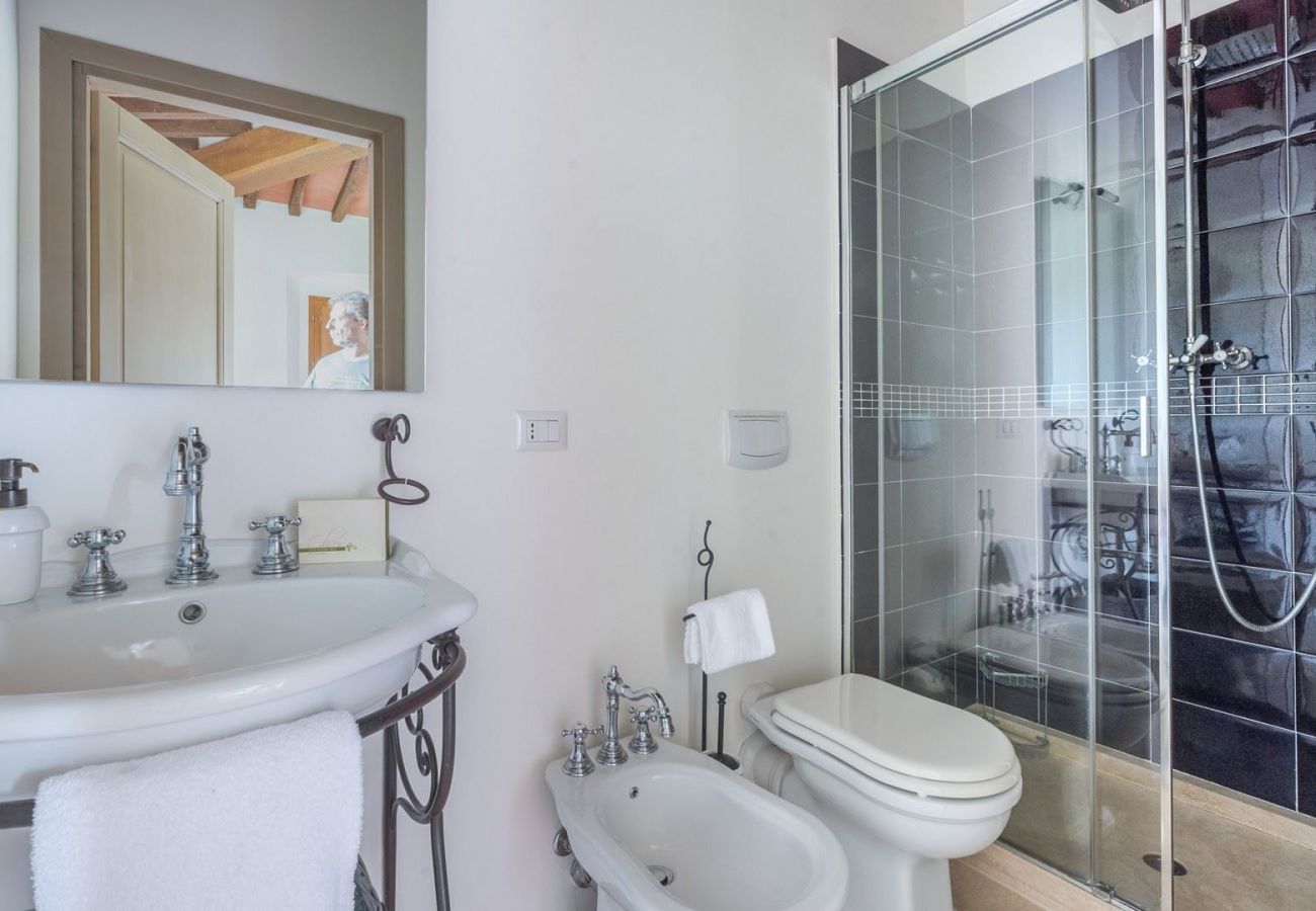 Villa in Palaia - Villa casolare Francia