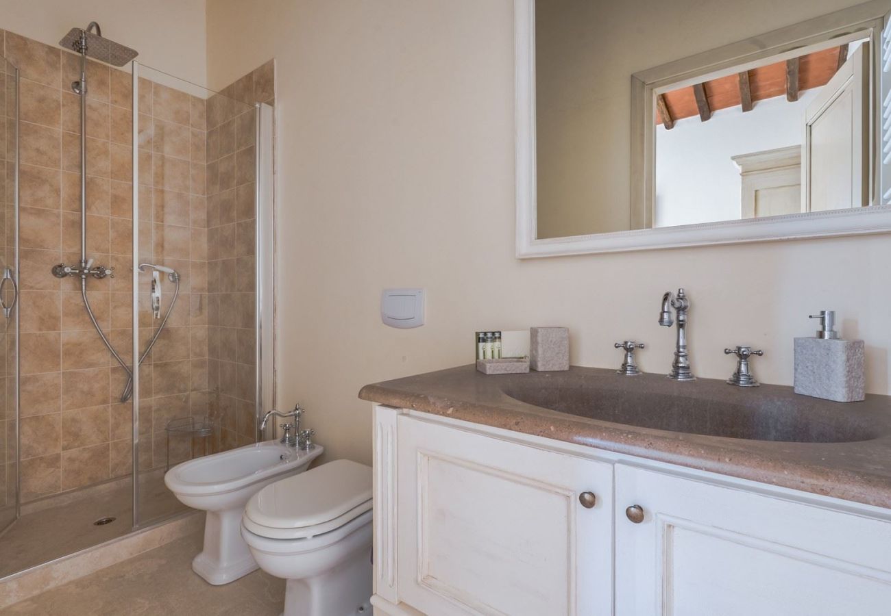 Villa in Palaia - Villa casolare Francia