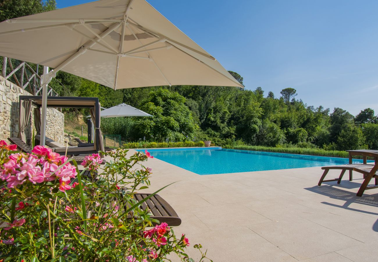 Villa in Palaia - Villa casolare Francia