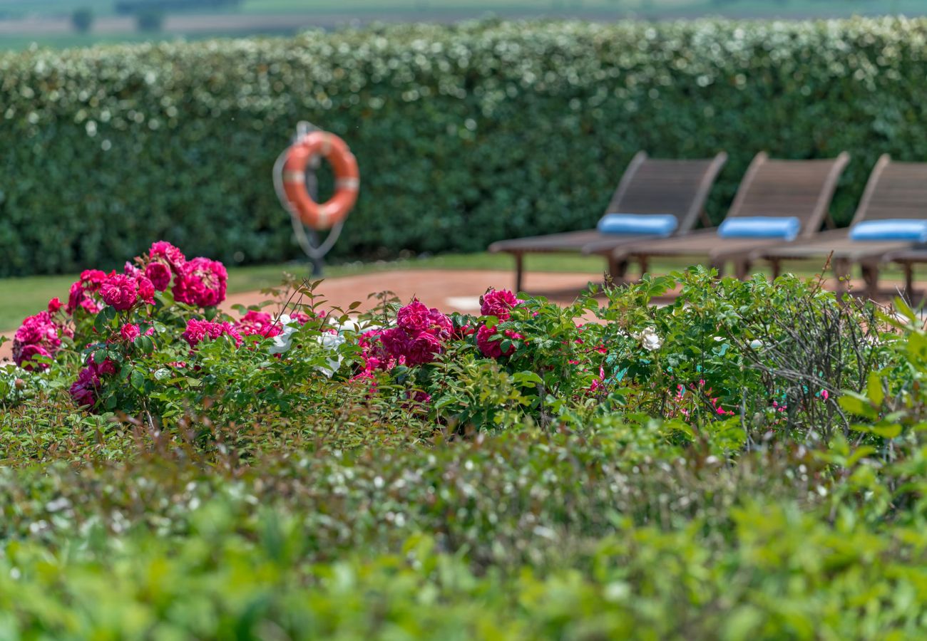 Villa in Castiglion Fiorentino - Villa Michelangelo