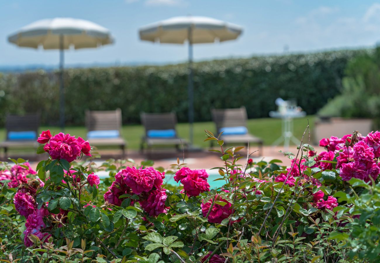 Villa in Castiglion Fiorentino - Villa Michelangelo