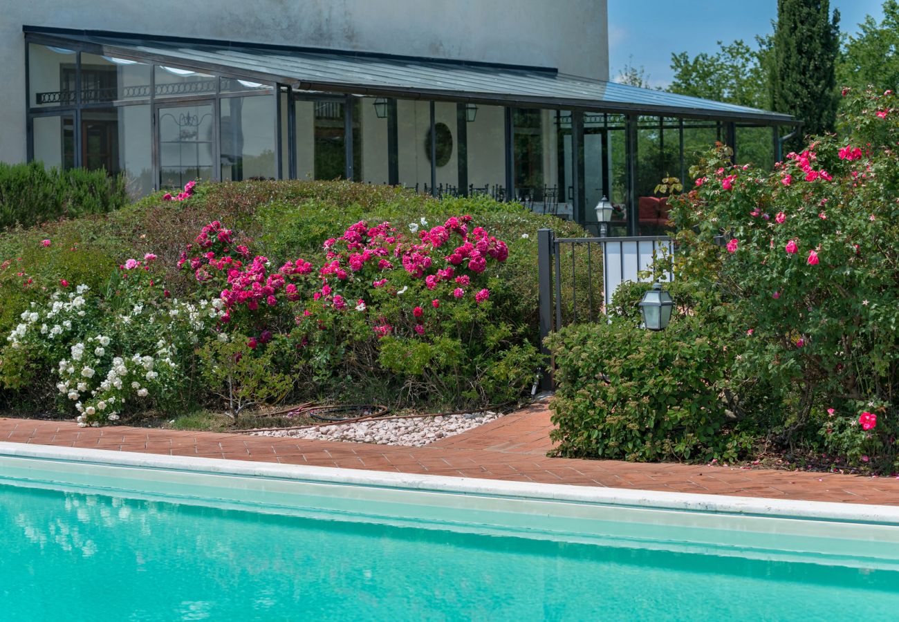 Villa in Castiglion Fiorentino - Villa Michelangelo