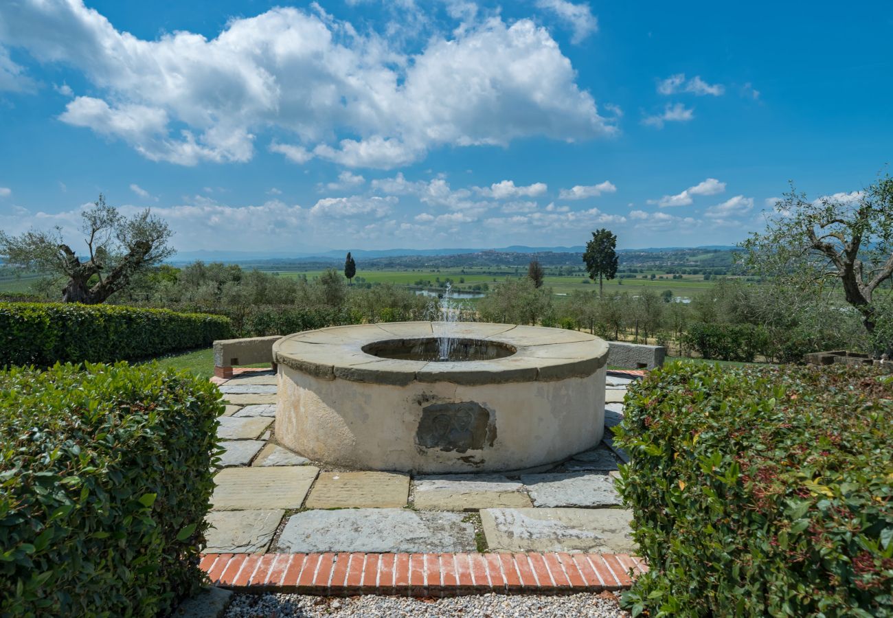 Villa in Castiglion Fiorentino - Villa Michelangelo