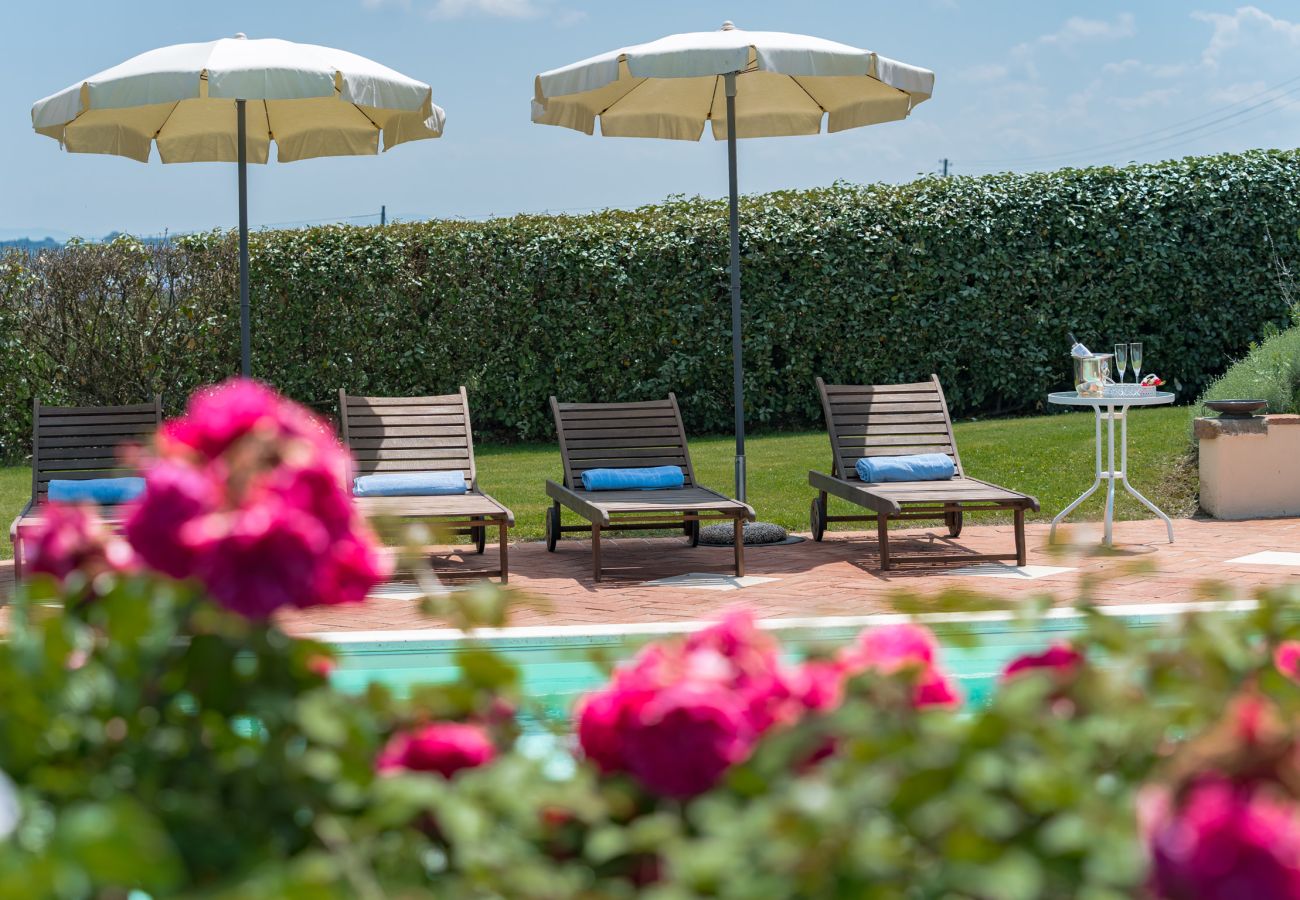 Villa in Castiglion Fiorentino - Villa Michelangelo