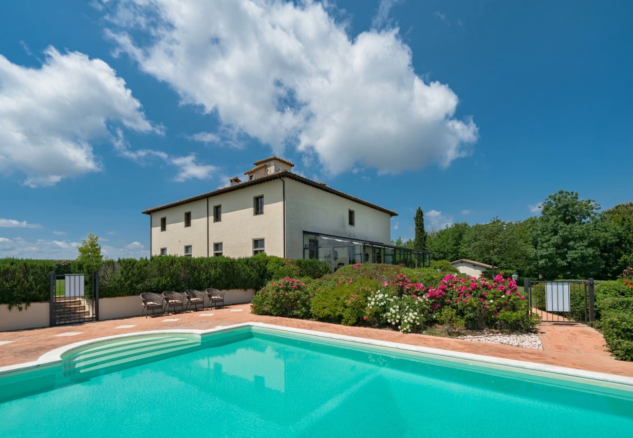 Villa in Castiglion Fiorentino - Villa Michelangelo