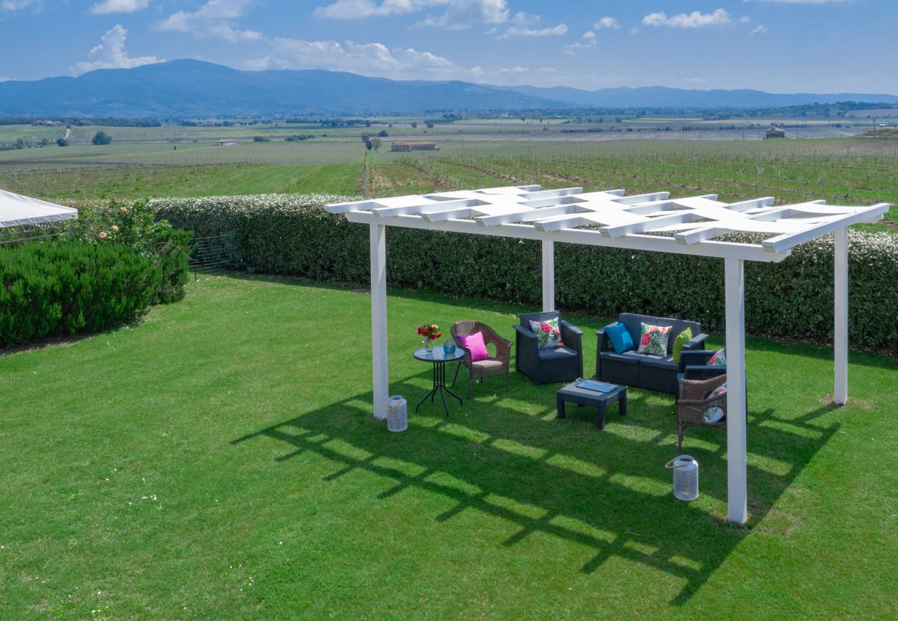 Villa in Castiglion Fiorentino - Villa Michelangelo