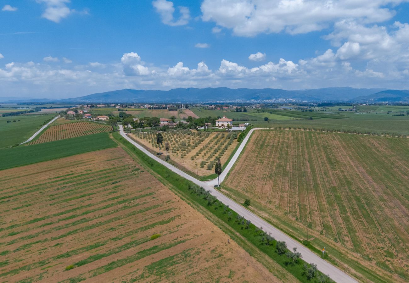 Villa in Castiglion Fiorentino - Villa Michelangelo