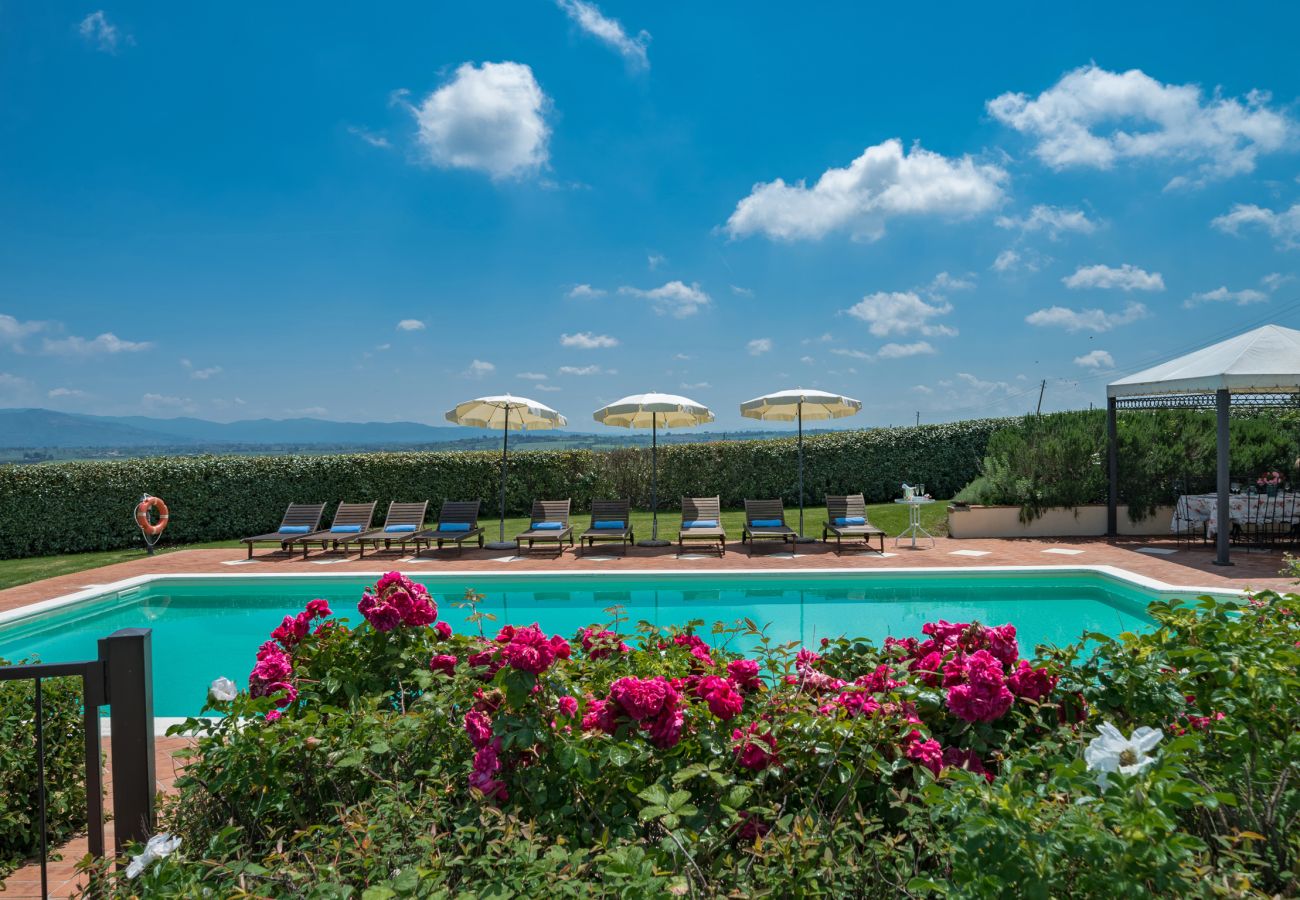 Villa in Castiglion Fiorentino - Villa Michelangelo