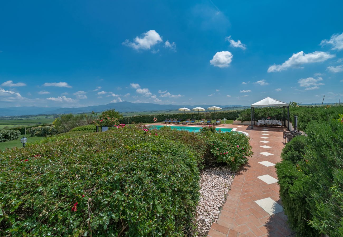 Villa in Castiglion Fiorentino - Villa Michelangelo