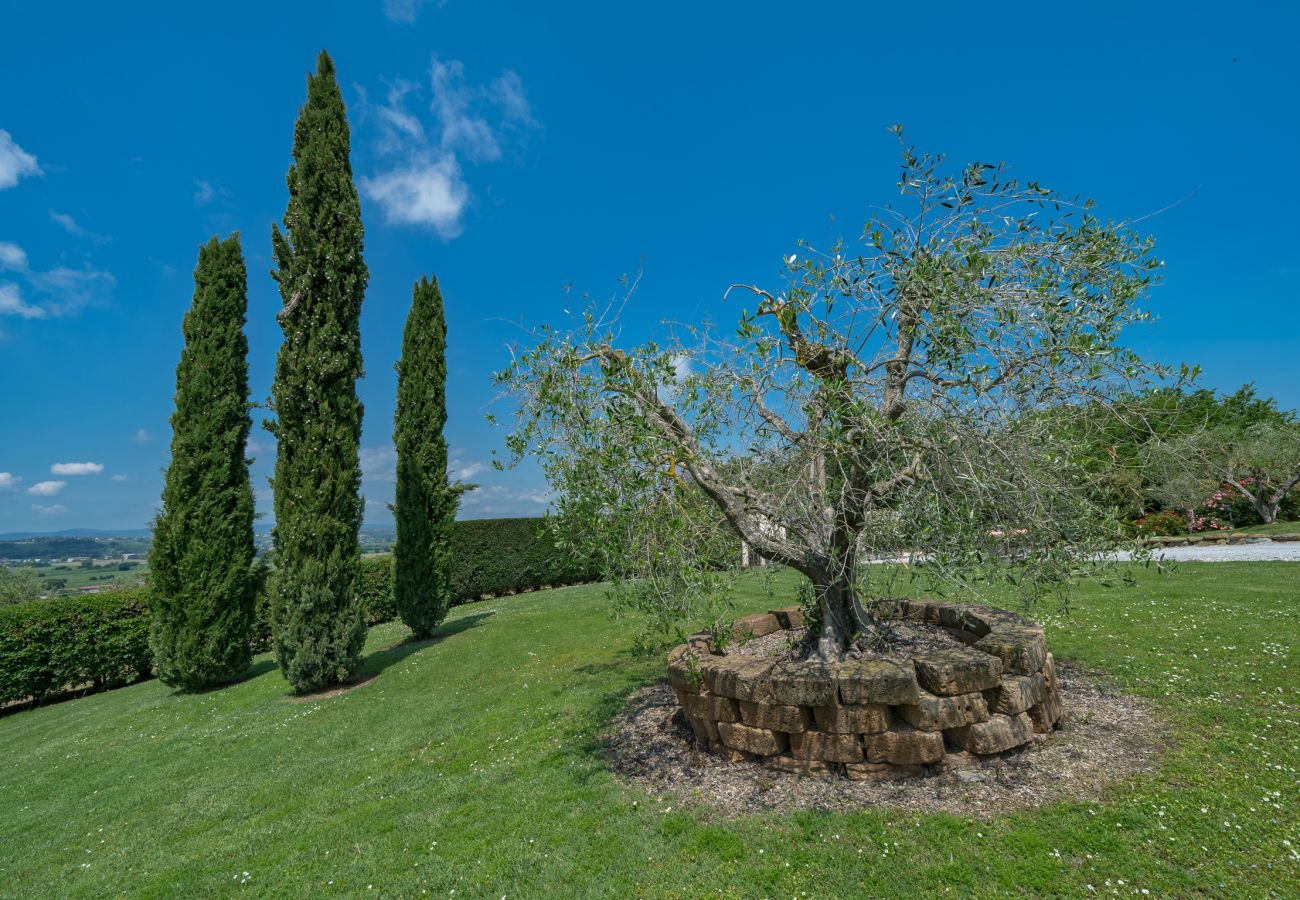 Villa in Castiglion Fiorentino - Villa Michelangelo