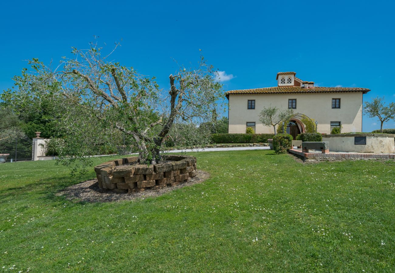 Villa in Castiglion Fiorentino - Villa Michelangelo