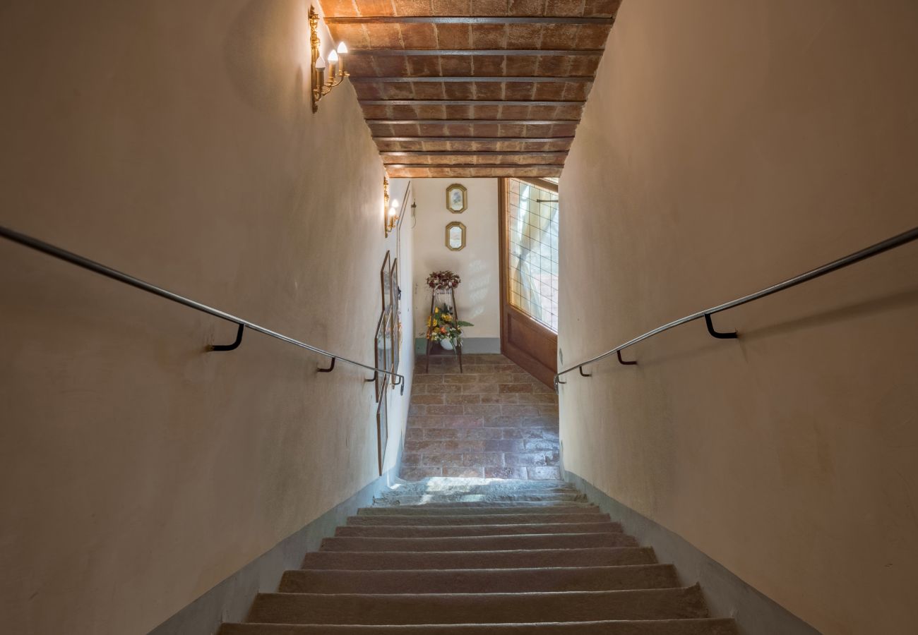 Villa in Castiglion Fiorentino - Villa Michelangelo