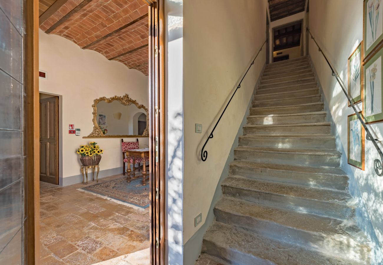 Villa in Castiglion Fiorentino - Villa Michelangelo