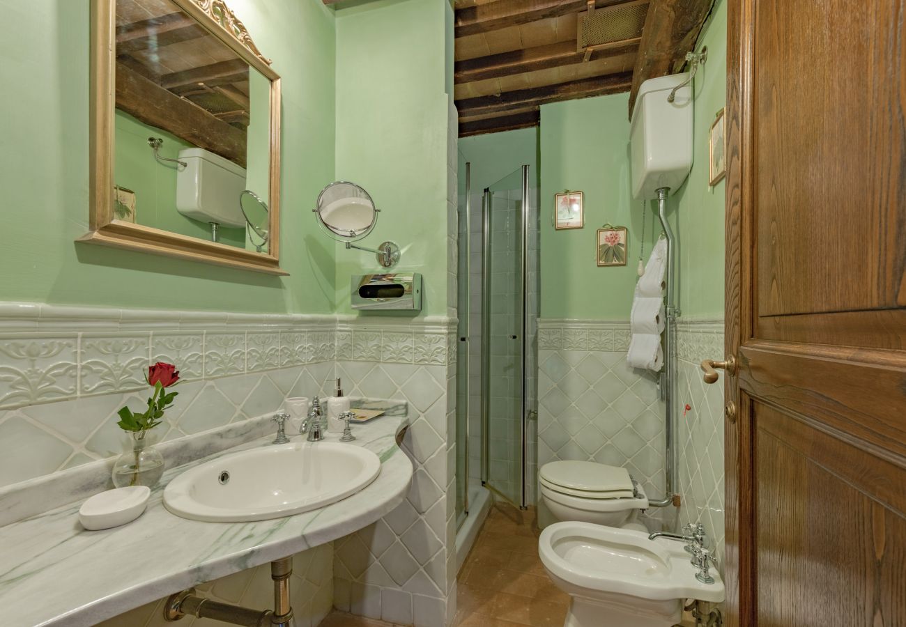 Villa in Castiglion Fiorentino - Villa Michelangelo