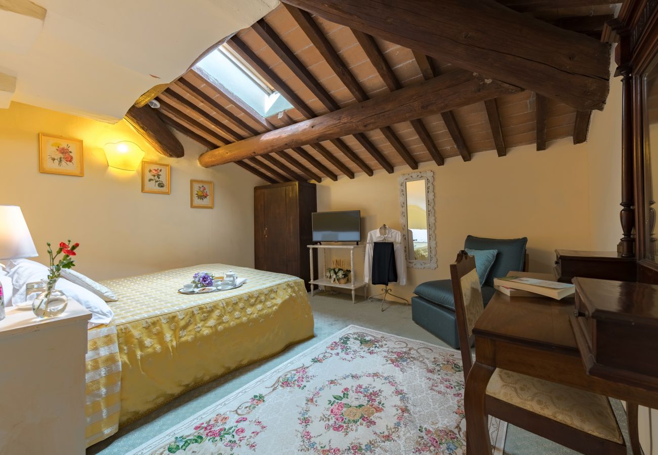 Villa in Castiglion Fiorentino - Villa Michelangelo