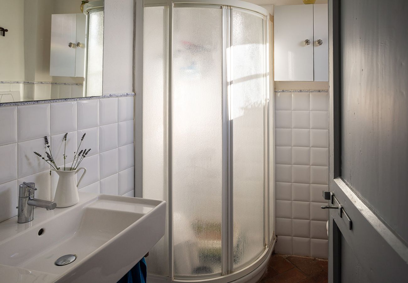 Villa in Montelupo Fiorentino - Villa Collina