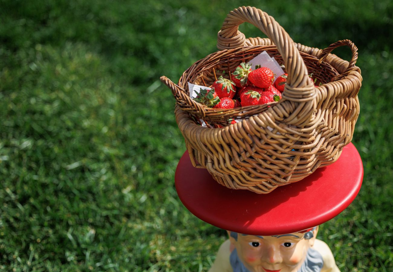 Villa in Montelupo Fiorentino - Villa Collina