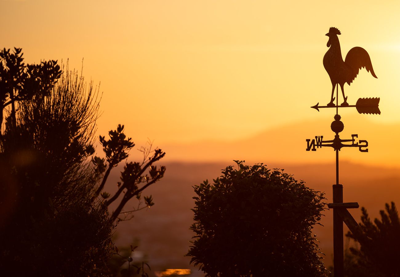 Villa in Montelupo Fiorentino - Villa Collina