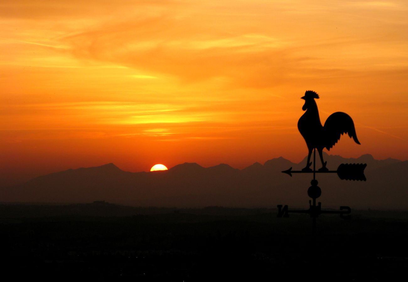 Villa in Montelupo Fiorentino - Villa Collina