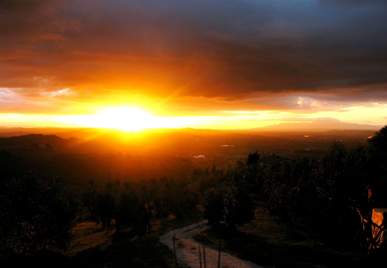 Villa in Montelupo Fiorentino - Villa Collina