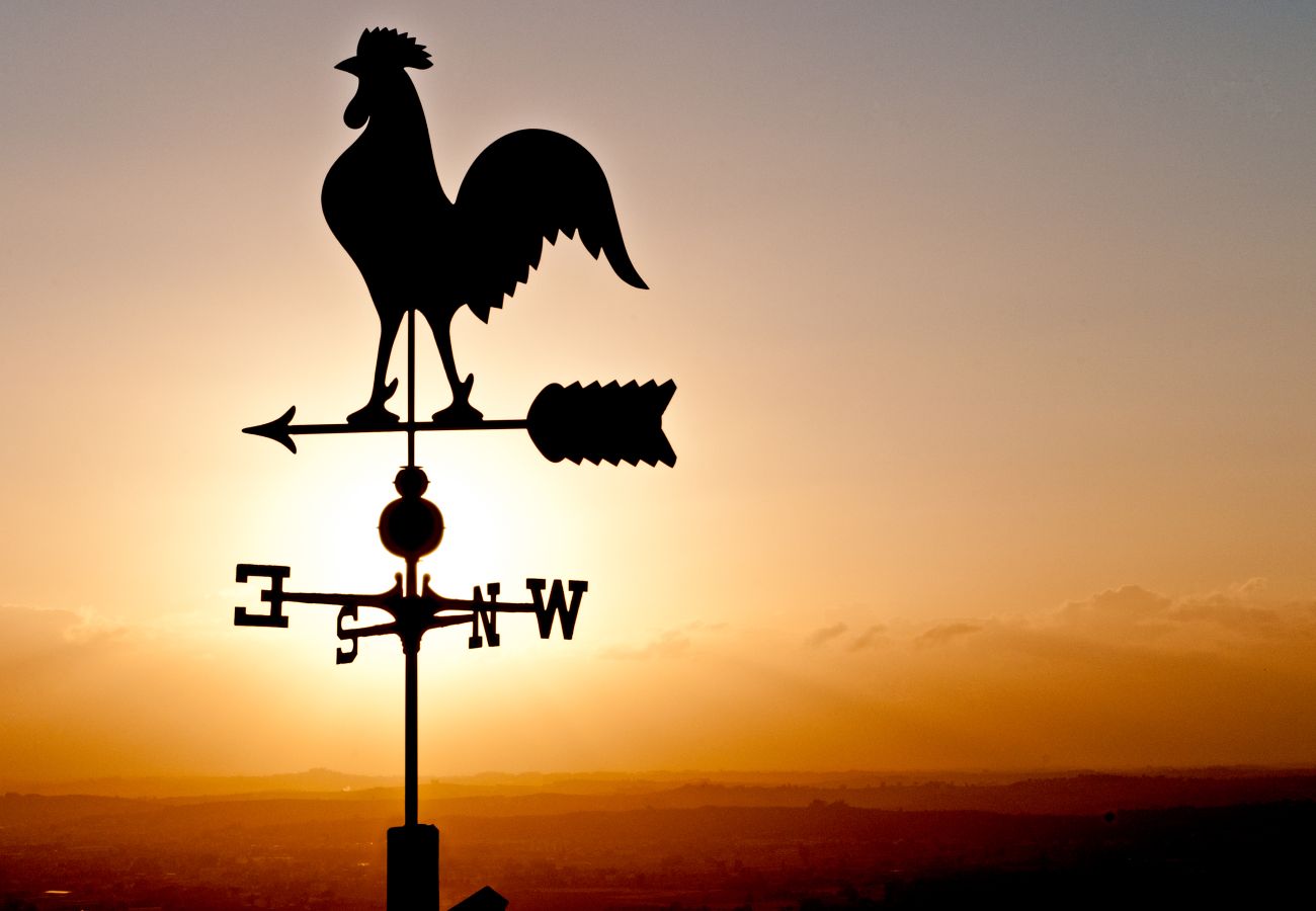 Villa in Montelupo Fiorentino - Villa Collina