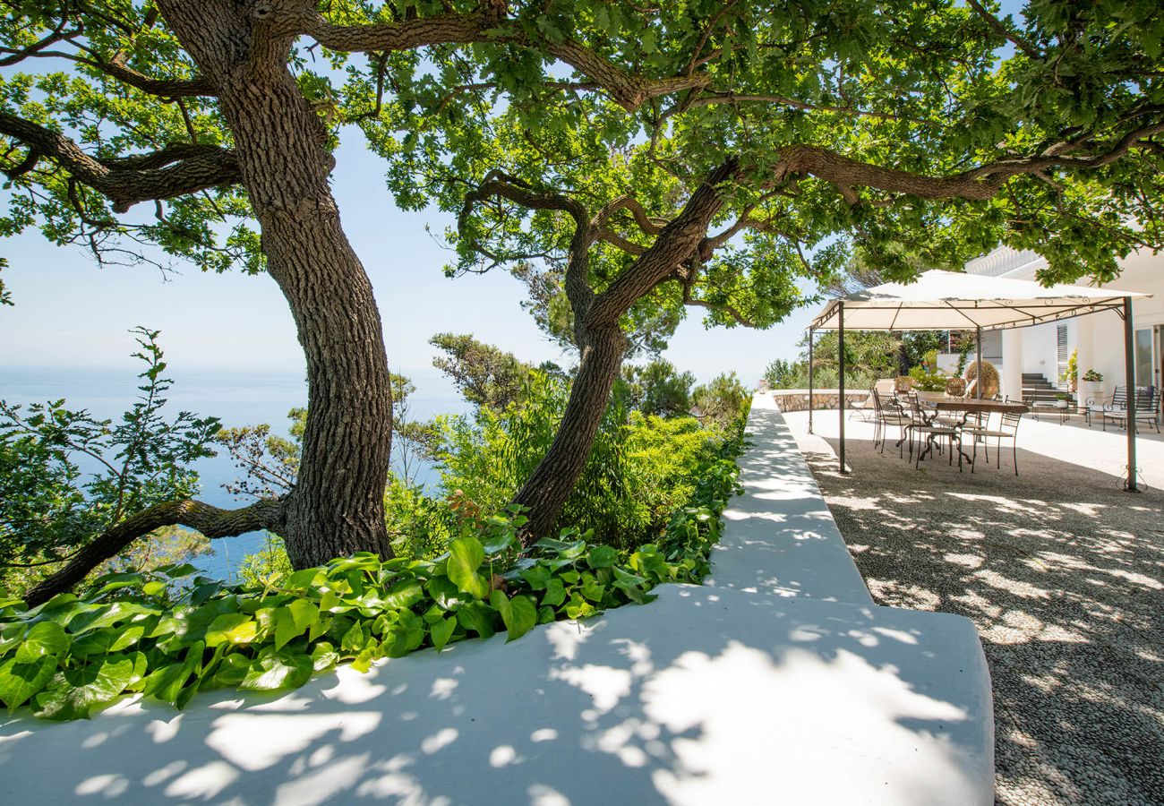 Villa in Piano di Sorrento - Villa Stella