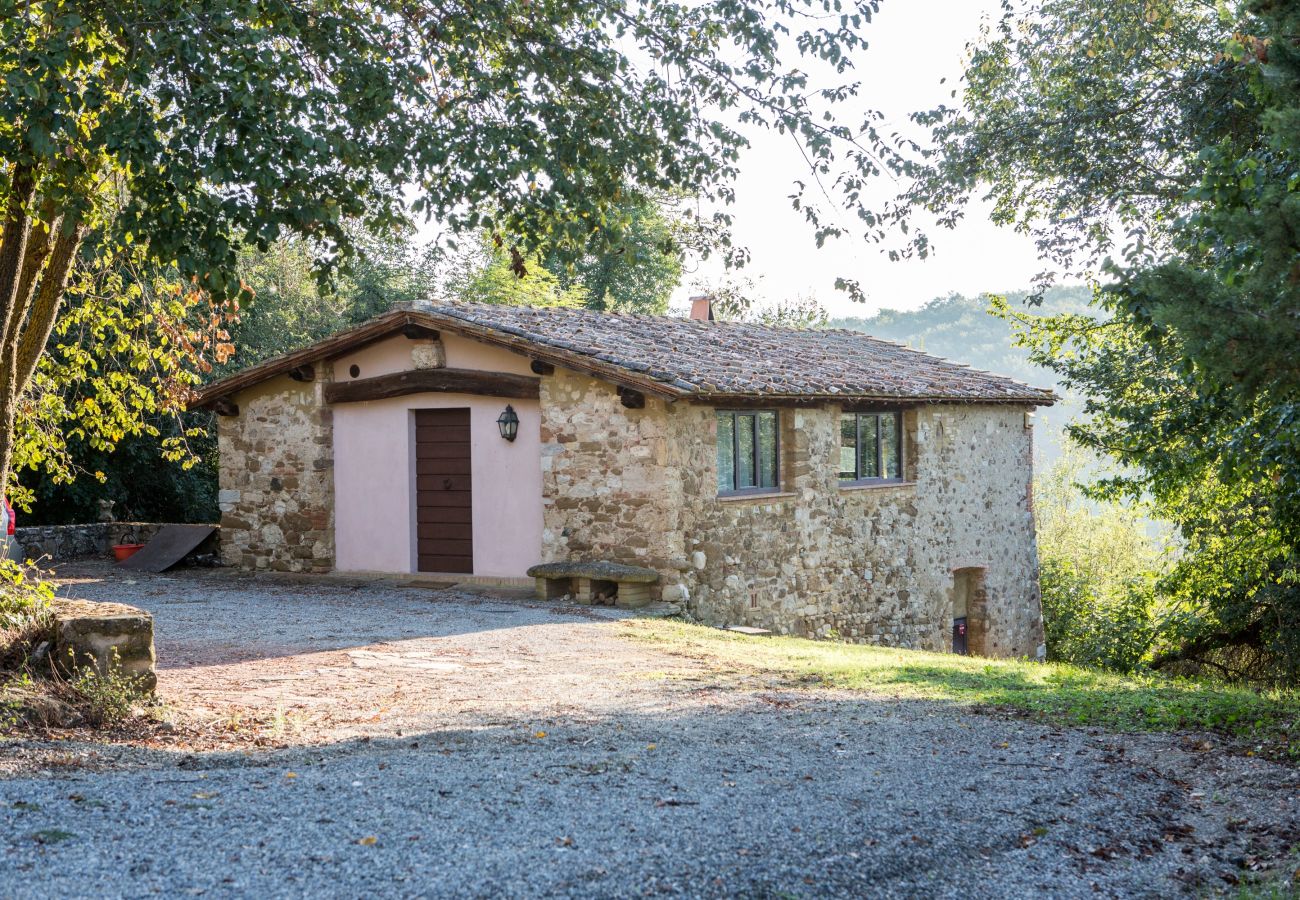 Cottage in Castellina in Chianti - Casale Santino