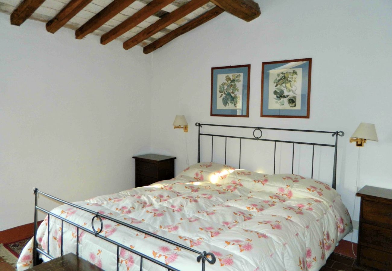 Cottage in Castellina in Chianti - Casale Santino