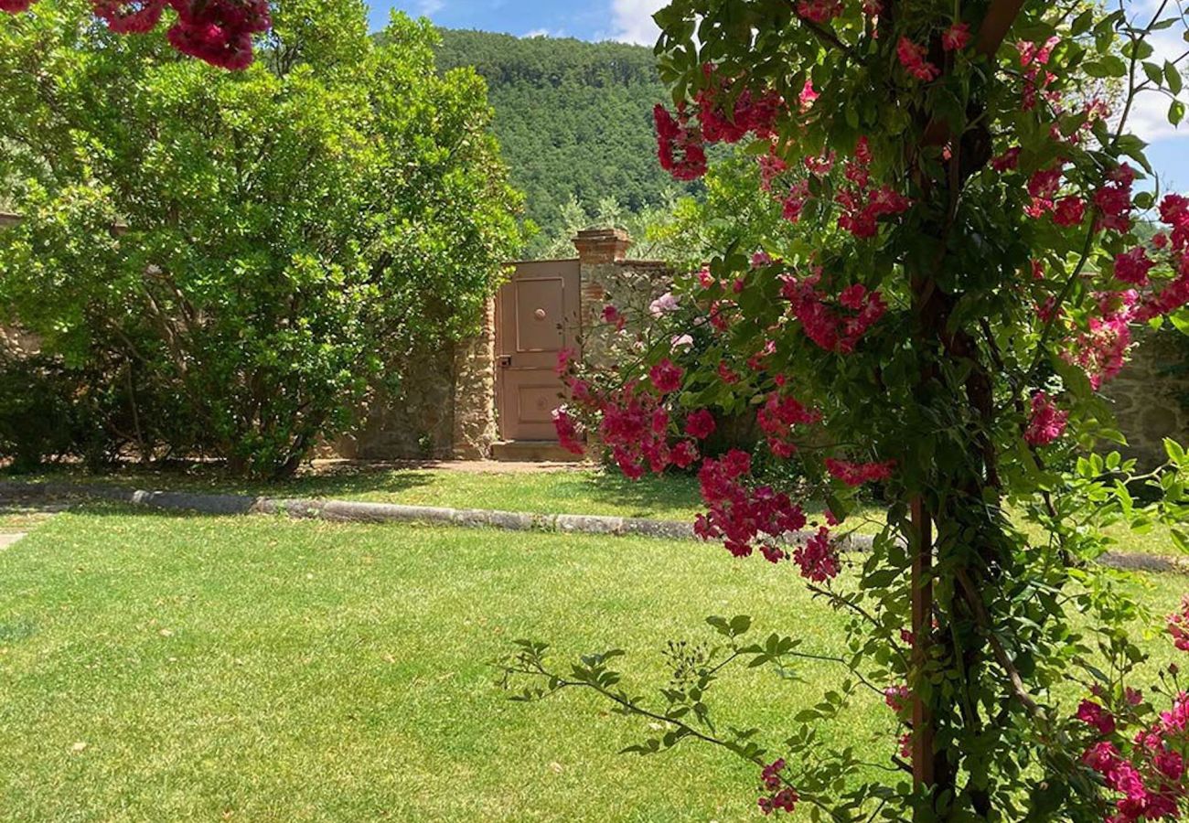 Villa in Larciano - Villa Superior