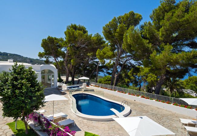 Villa in Anacapri - Villa Capri