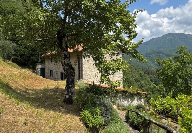 House in Bagni di Lucca - Casale Lo scopeto