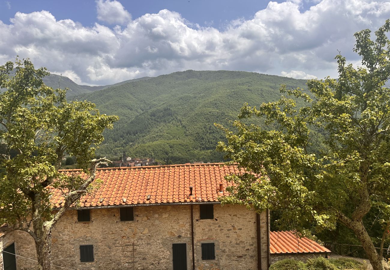 House in Bagni di Lucca - Casale Lo scopeto