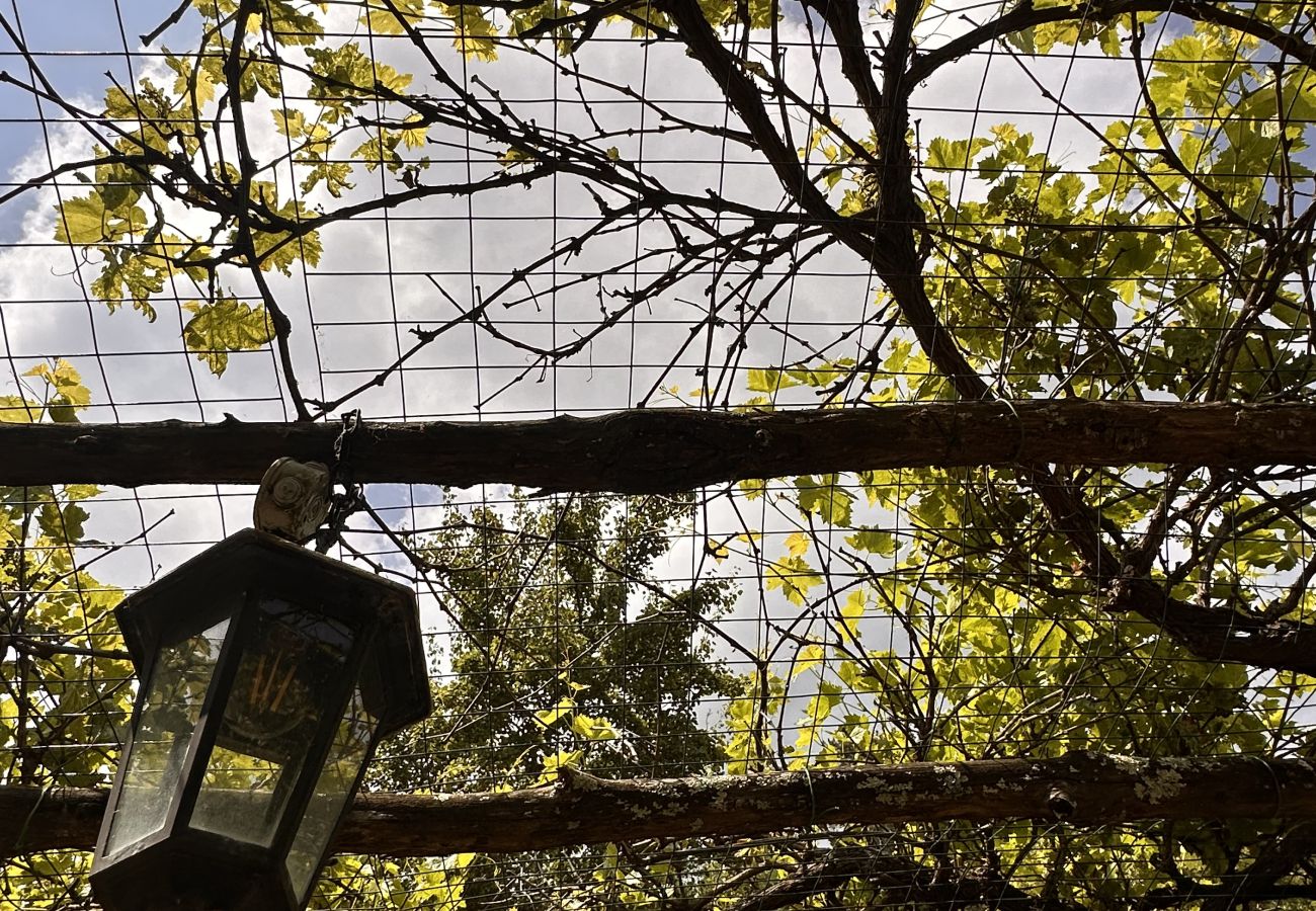 House in Bagni di Lucca - Casale Lo scopeto