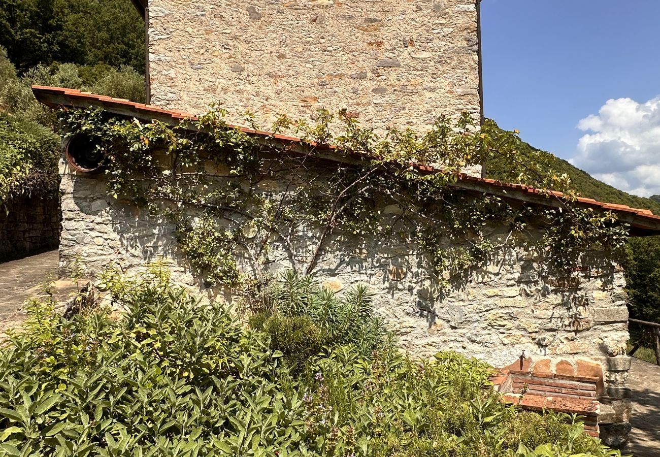 House in Bagni di Lucca - Casale Lo scopeto
