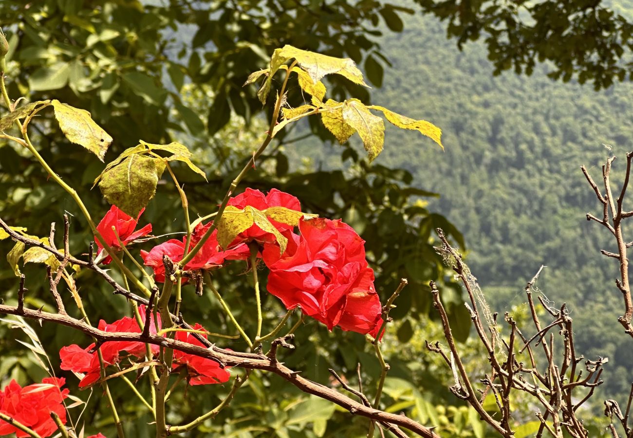 House in Bagni di Lucca - Casale Lo scopeto