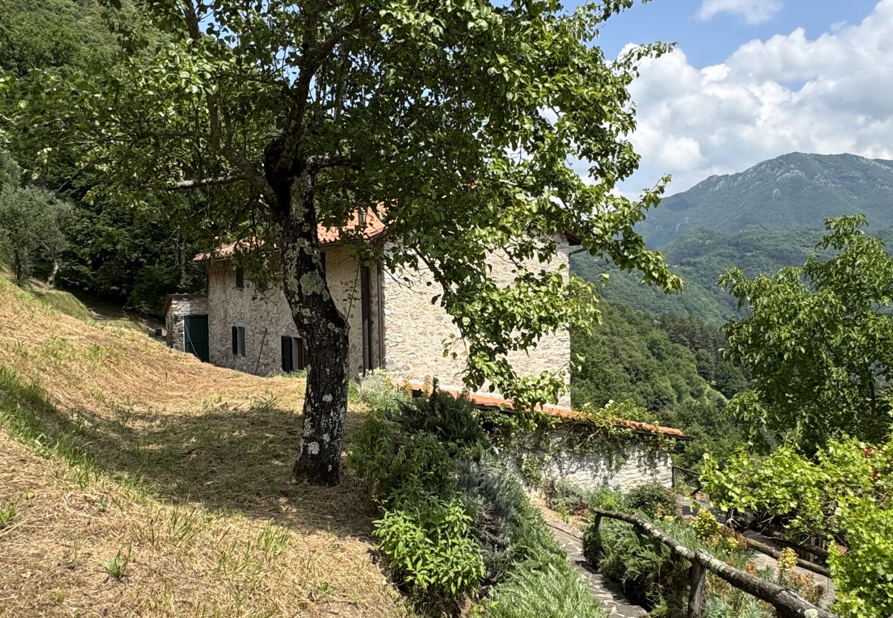 House in Bagni di Lucca - Casale Lo scopeto