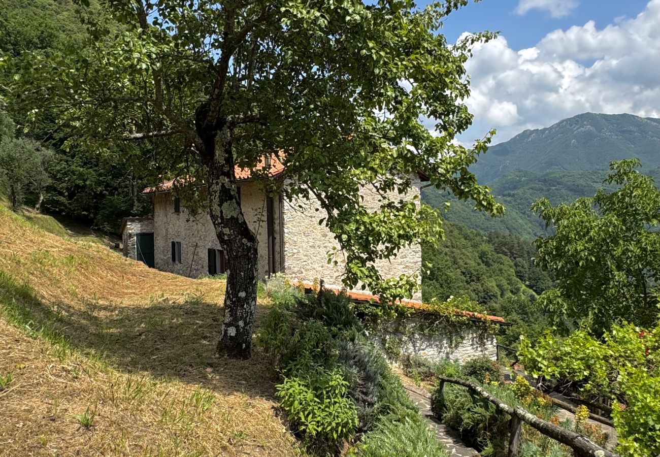 House in Bagni di Lucca - Casale Lo scopeto