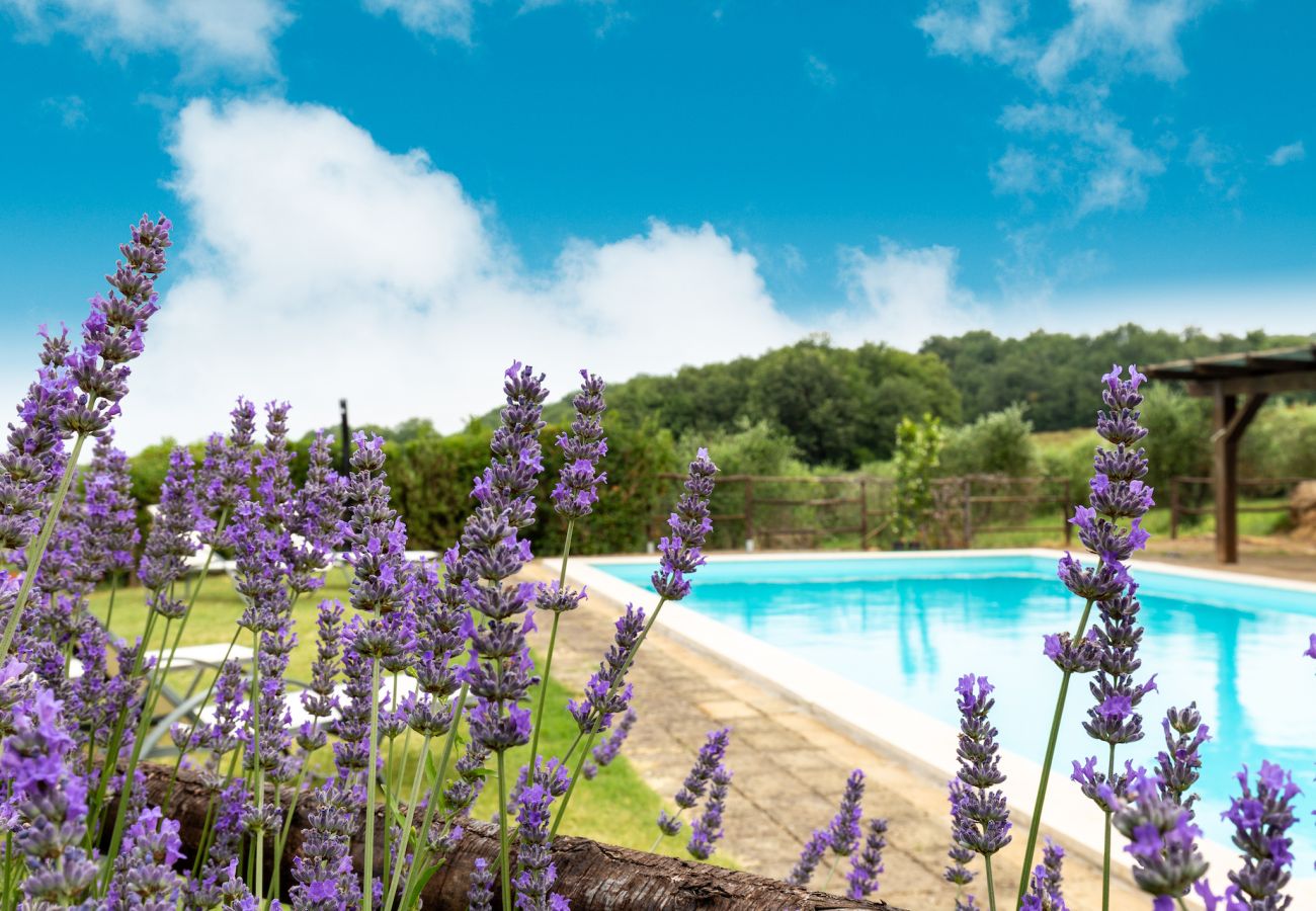 Villa in Pienza - Villa Fonte Siena