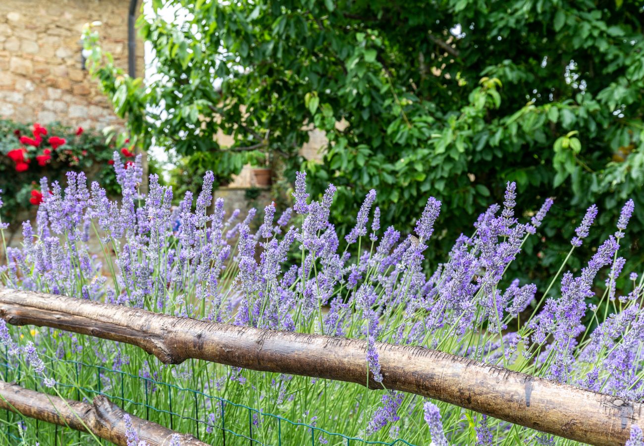 Villa in Pienza - Villa Fonte Siena