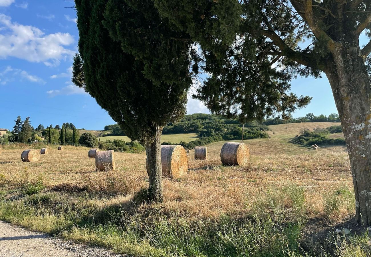 Villa in Pienza - Villa Fonte Siena
