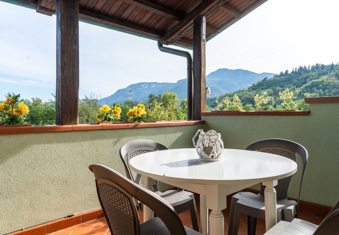 Villa in Molazzana - Villa Grazia resort