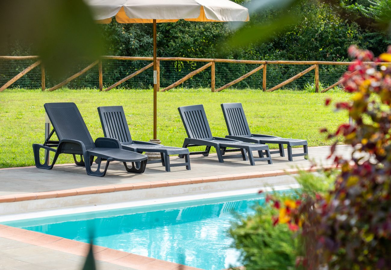 Villa in Molazzana - Villa Grazia resort