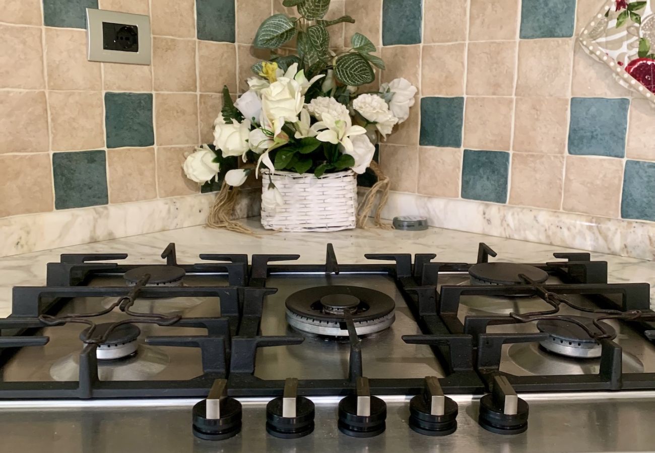 Villa in Molazzana - Villa Grazia resort