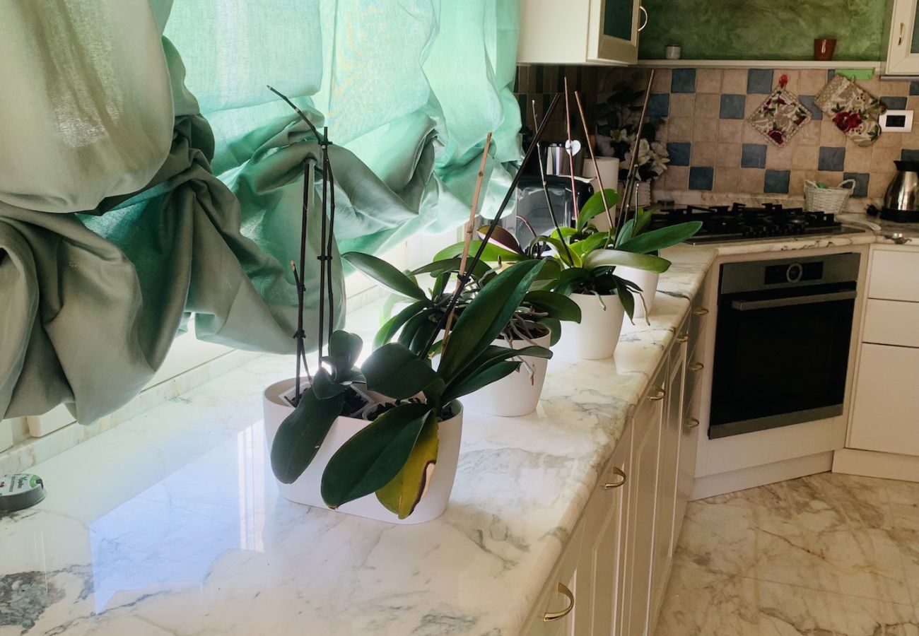 Villa in Molazzana - Villa Grazia resort