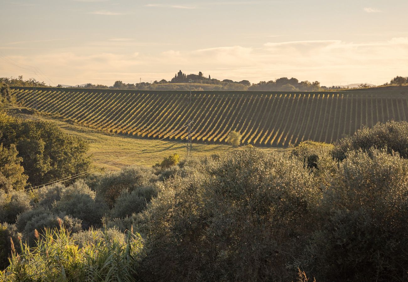 Villa in Montaione - Il Passero