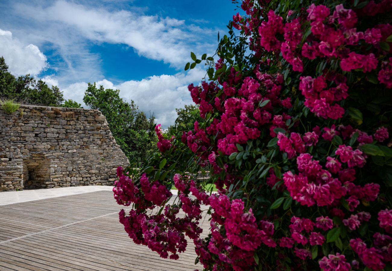 Villa in Suvereto - Villa il Castello di Lorenzo