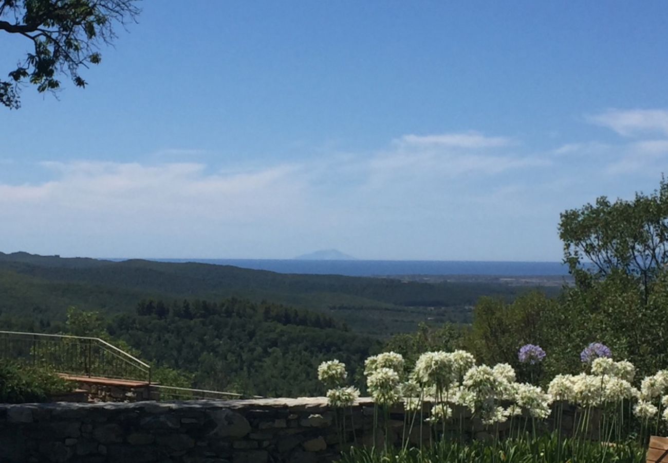 Villa in Suvereto - Villa il Castello di Lorenzo